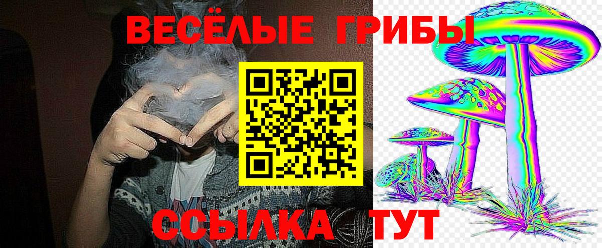 Псилоцибиновые грибы Cubensis  Вход с VPN  Губкинский 